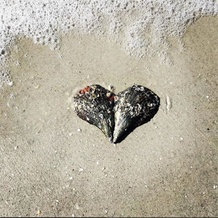 Image of a heart shape found out in the world